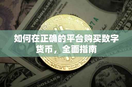 如何在正确的平台购买数字货币，全面指南