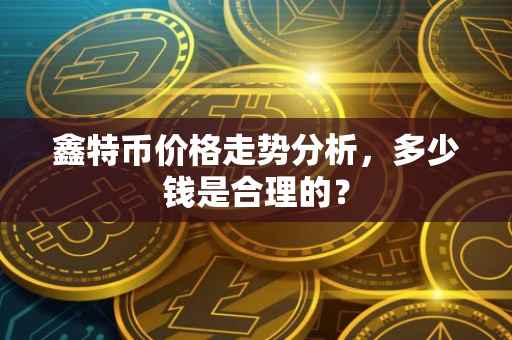 鑫特币价格走势分析，多少钱是合理的？