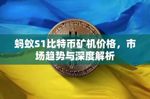 蚂蚁S1比特币矿机价格，市场趋势与深度解析