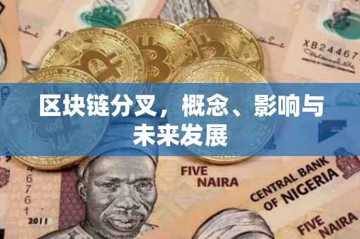 区块链分叉，概念、影响与未来发展