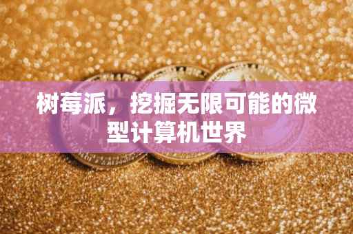 树莓派，挖掘无限可能的微型计算机世界