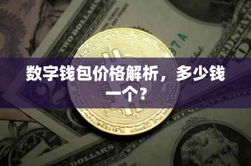 数字钱包价格解析，多少钱一个？