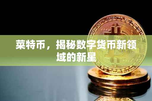 菜特币，揭秘数字货币新领域的新星