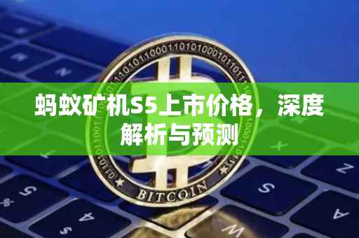 蚂蚁矿机S5上市价格，深度解析与预测