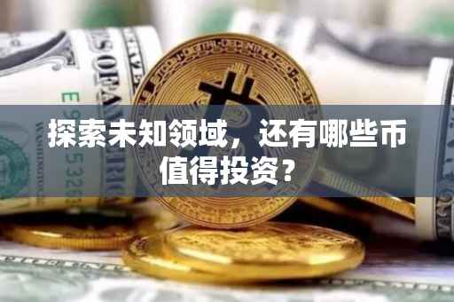 探索未知领域，还有哪些币值得投资？
