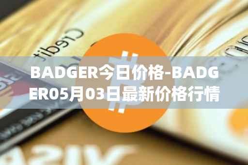 BADGER今日价格-BADGER05月03日最新价格行情-badger-dao最新走势消息