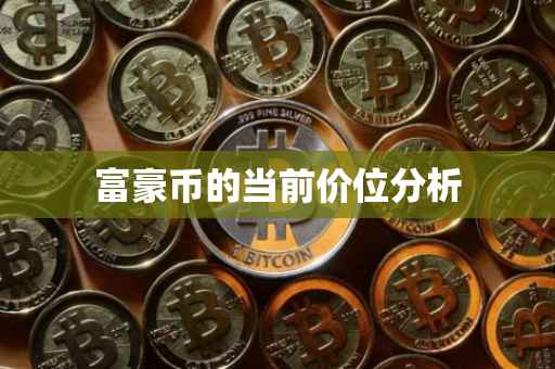 富豪币的当前价位分析