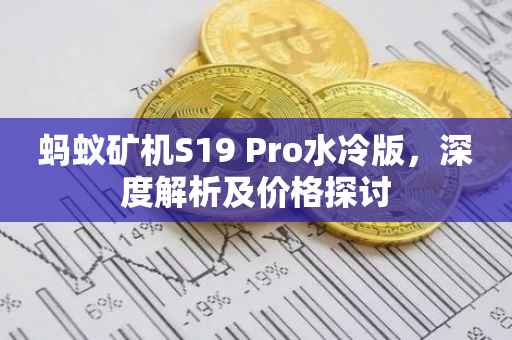 蚂蚁矿机S19 Pro水冷版，深度解析及价格探讨