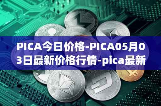 PICA今日价格-PICA05月03日最新价格行情-pica最新走势消息