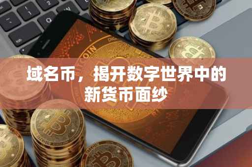 域名币，揭开数字世界中的新货币面纱