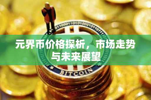 元界币价格探析，市场走势与未来展望