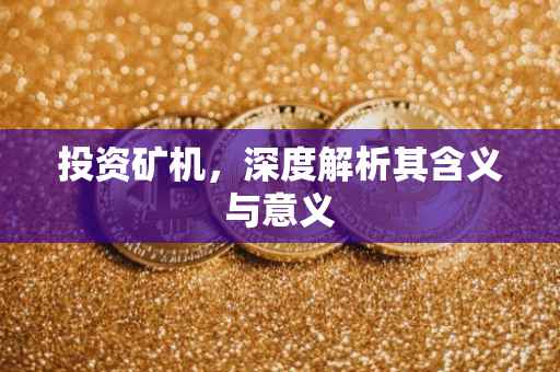 投资矿机，深度解析其含义与意义