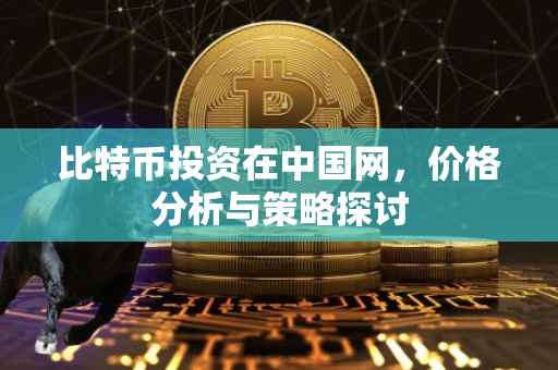 比特币投资在中国网，价格分析与策略探讨