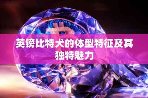 英镑比特犬的体型特征及其独特魅力