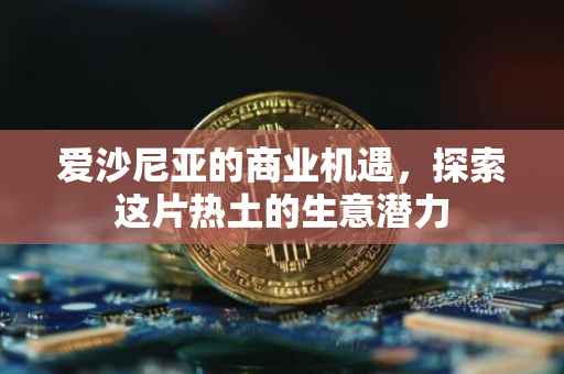 爱沙尼亚的商业机遇，探索这片热土的生意潜力