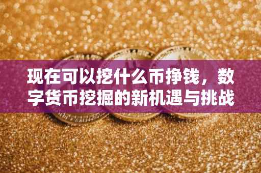 现在可以挖什么币挣钱，数字货币挖掘的新机遇与挑战