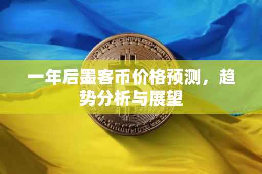 一年后墨客币价格预测，趋势分析与展望