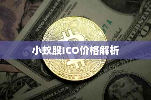 小蚁股ICO价格解析
