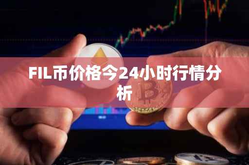 FIL币价格今24小时行情分析