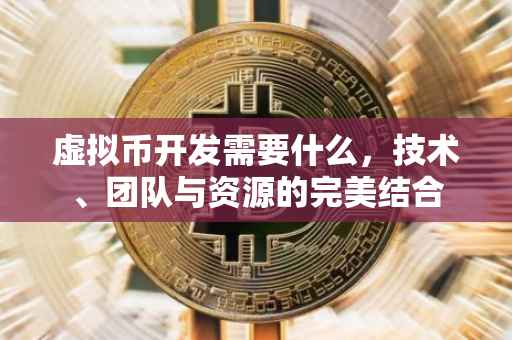 虚拟币开发需要什么，技术、团队与资源的完美结合