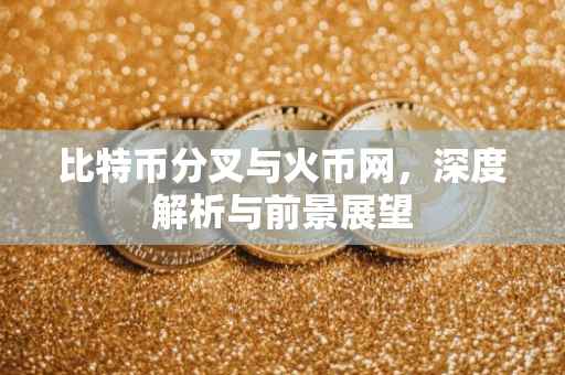 比特币分叉与火币网，深度解析与前景展望