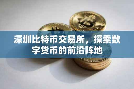 深圳比特币交易所，探索数字货币的前沿阵地