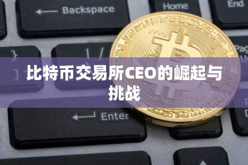 比特币交易所CEO的崛起与挑战