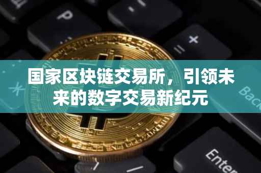 国家区块链交易所，引领未来的数字交易新纪元