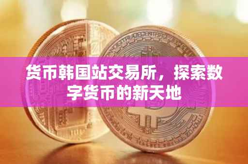 货币韩国站交易所，探索数字货币的新天地