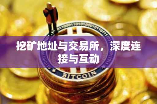 挖矿地址与交易所，深度连接与互动