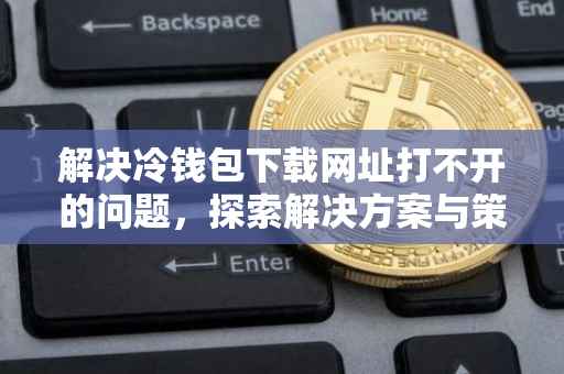 解决冷钱包下载网址打不开的问题，探索解决方案与策略