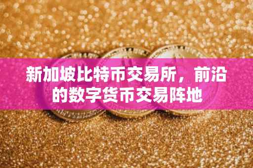 新加坡比特币交易所，前沿的数字货币交易阵地