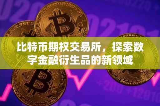 比特币期权交易所，探索数字金融衍生品的新领域