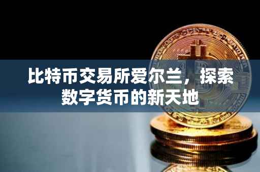 比特币交易所爱尔兰，探索数字货币的新天地