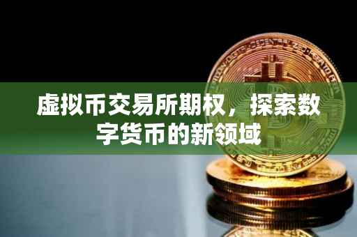 虚拟币交易所期权，探索数字货币的新领域