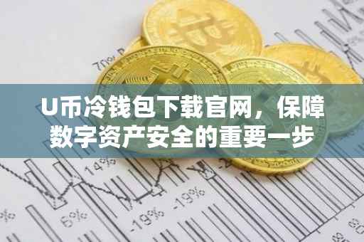 U币冷钱包下载官网，保障数字资产安全的重要一步