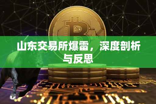 山东交易所爆雷，深度剖析与反思