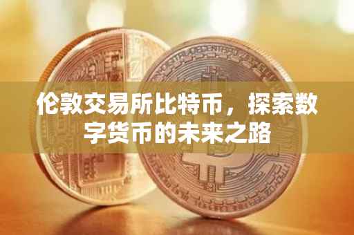 伦敦交易所比特币，探索数字货币的未来之路