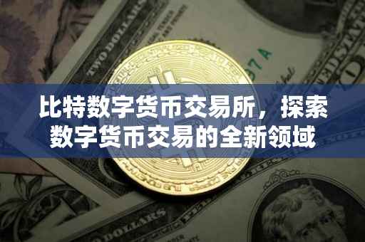 比特数字货币交易所，探索数字货币交易的全新领域