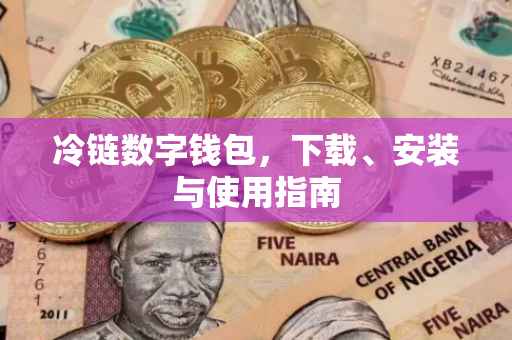 冷链数字钱包，下载、安装与使用指南