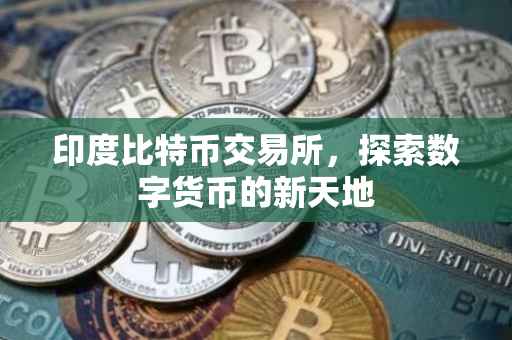 印度比特币交易所，探索数字货币的新天地