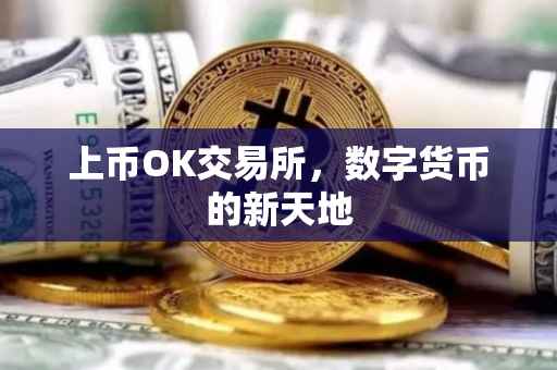 上币OK交易所，数字货币的新天地