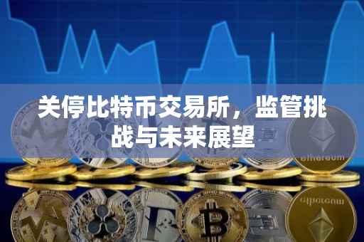 关停比特币交易所，监管挑战与未来展望