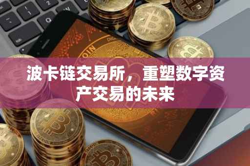 波卡链交易所，重塑数字资产交易的未来