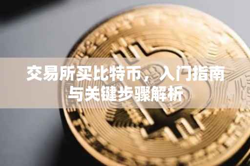 交易所买比特币，入门指南与关键步骤解析
