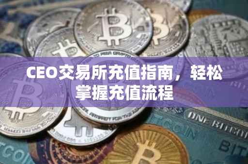 CEO交易所充值指南，轻松掌握充值流程
