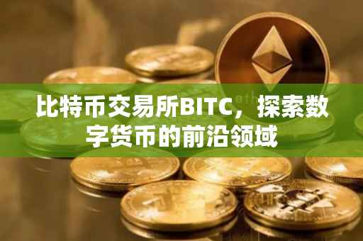 比特币交易所BITC，探索数字货币的前沿领域