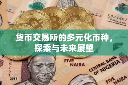 货币交易所的多元化币种，探索与未来展望