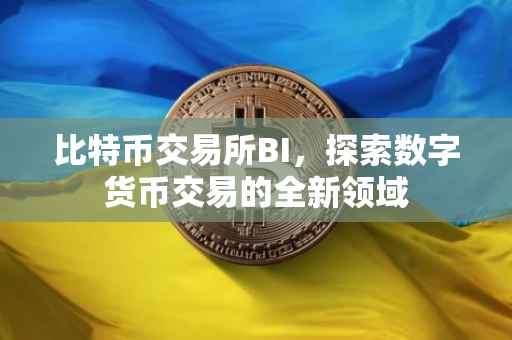 比特币交易所BI，探索数字货币交易的全新领域