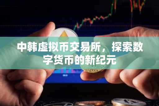 中韩虚拟币交易所，探索数字货币的新纪元